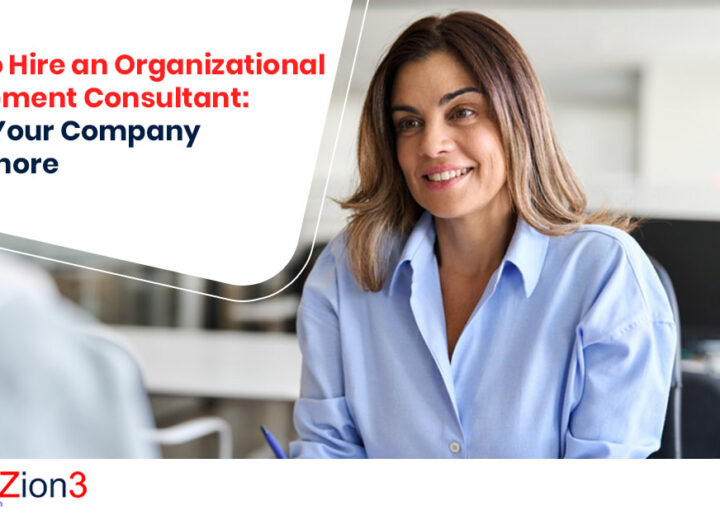 Organizational Development Consultant