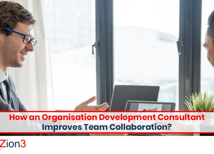 Organisation Development Consultant