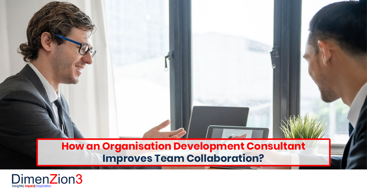 Organisation Development Consultant