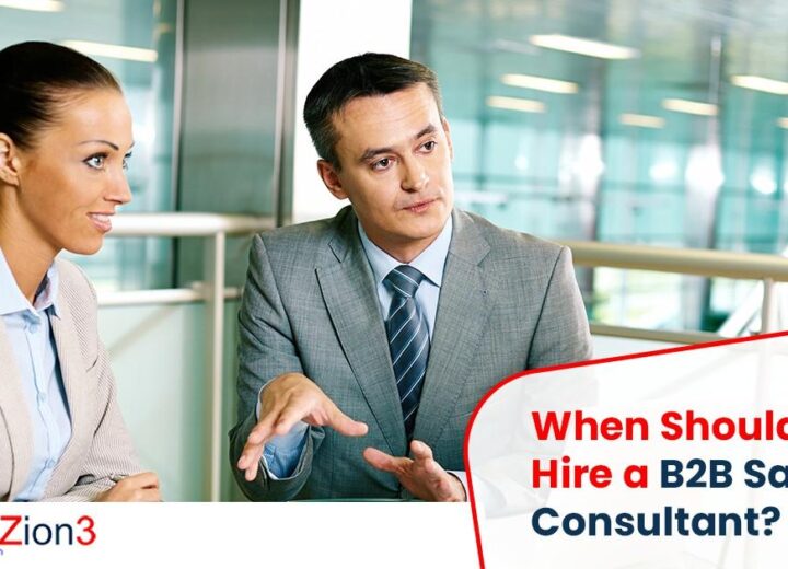 B2B sales consultant