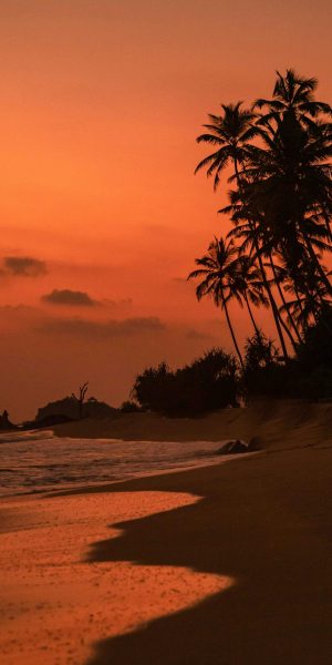 pexels-freestockpro-11617182